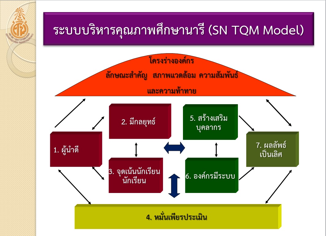 sn tqm model